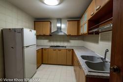 Carissa Park Condominium (D17), Condominium #173614312